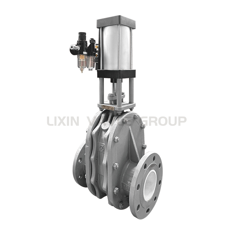 Ceramic Double Disc Gate Valve