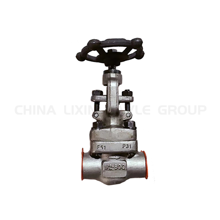 Forged Globe Valves