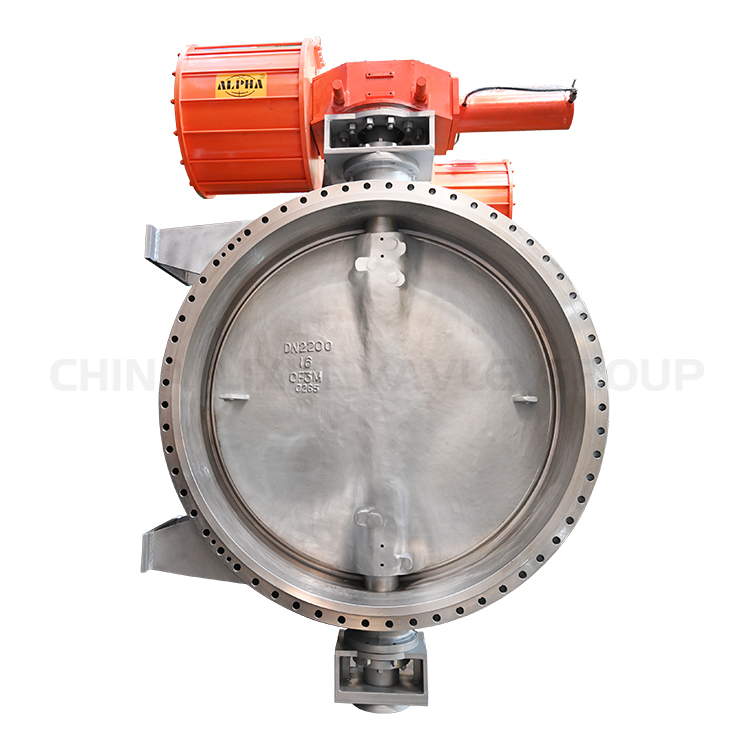 High-performance Butterfly Valve