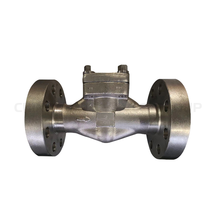 Lift Type Check Valve