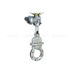 Bonnet Wafer Type Knife Gate Valve