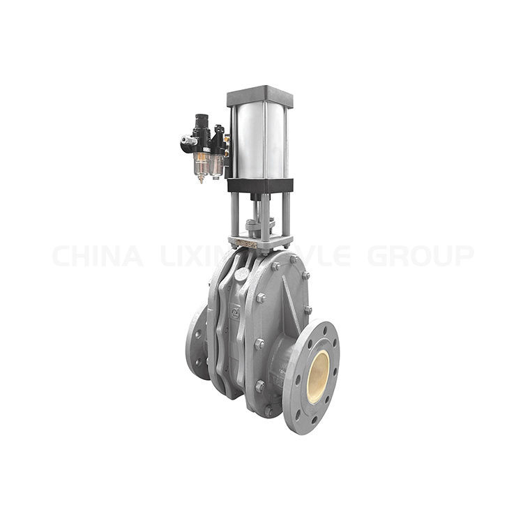 Ceramic Double Disc Gate Valve