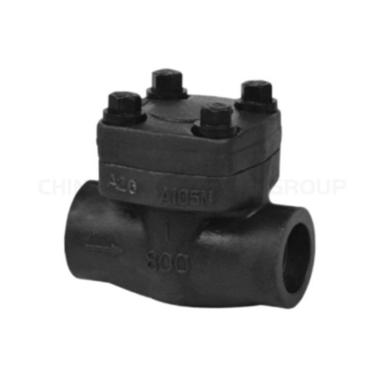 Forged Check Valve