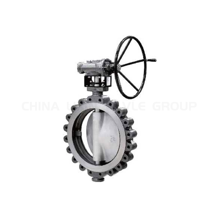 Lugged Type Butterfly Valve Supplier