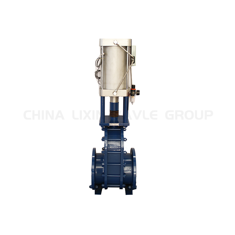 Double Disc Slab Gate Valve