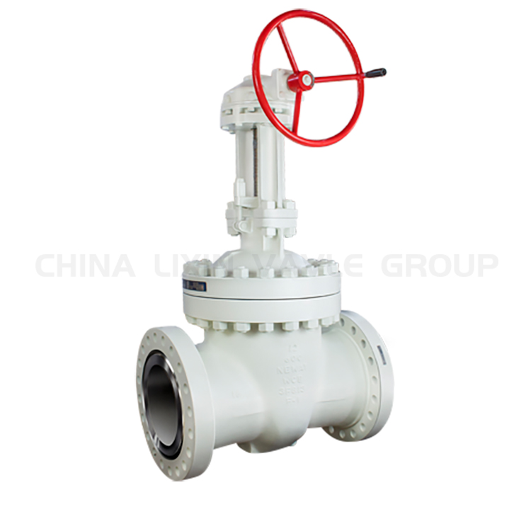 Orbit Plug Valve