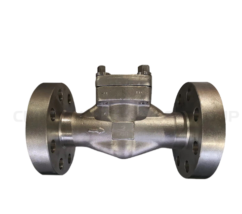 Lift Type Check Valve