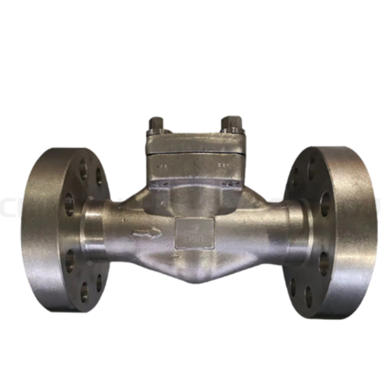 The Complete Guide to Lift Check Valve